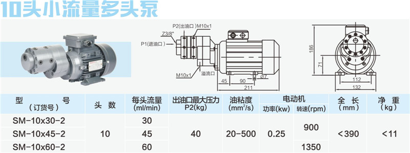 10頭小流量多頭泵01_副本.jpg